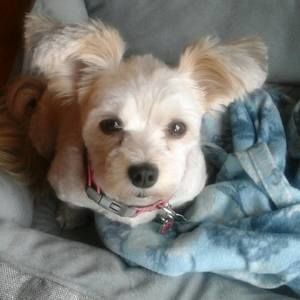 Meet your Posher, Marianne